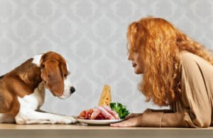 9 alimentos prohibidos para perros