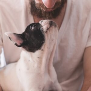 Perros de terapia: Cómo pueden mejorar la salud mental y física